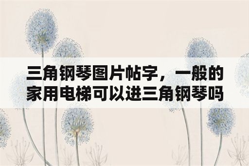 三角钢琴图片帖字，一般的家用电梯可以进三角钢琴吗？