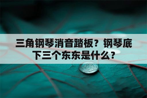 三角钢琴消音踏板？钢琴底下三个东东是什么？