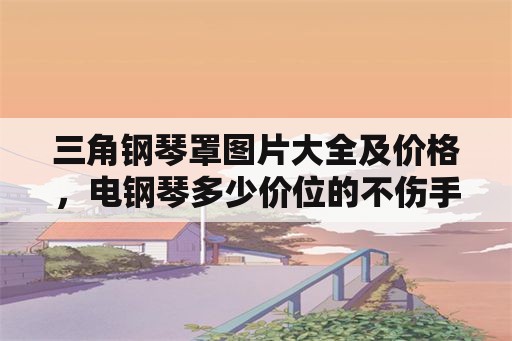 三角钢琴罩图片大全及价格，电钢琴多少价位的不伤手？