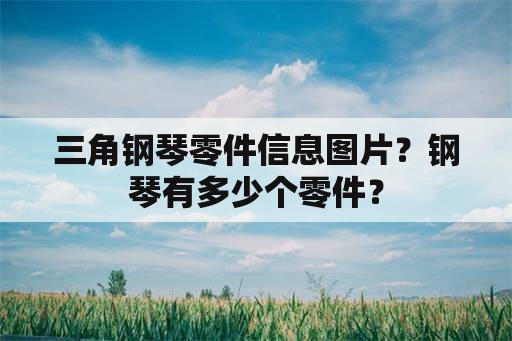 三角钢琴零件信息图片？钢琴有多少个零件？