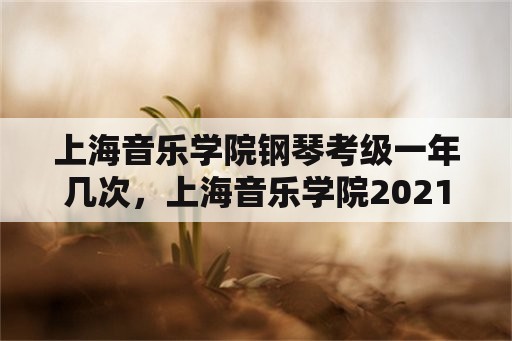 上海音乐学院钢琴考级一年几次，上海音乐学院2021钢琴考级日程安排？