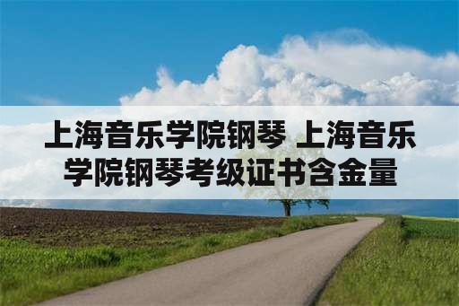 上海音乐学院钢琴 上海音乐学院钢琴考级证书含金量