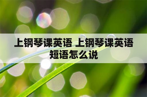 上钢琴课英语 上钢琴课英语短语怎么说