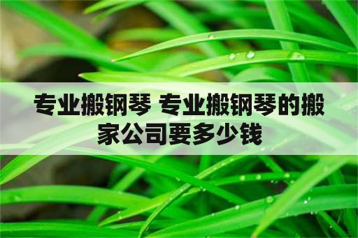 专业搬钢琴 专业搬钢琴的搬家公司要多少钱