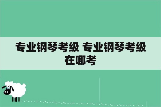 专业钢琴考级 专业钢琴考级在哪考