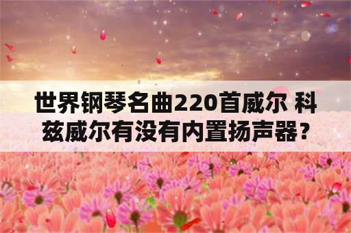 世界钢琴名曲220首威尔 科兹威尔有没有内置扬声器？