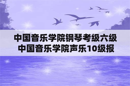 中国音乐学院钢琴考级六级 中国音乐学院声乐10级报考条件？