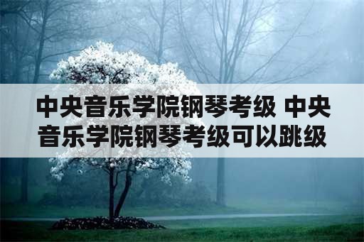 中央音乐学院钢琴考级 中央音乐学院钢琴考级可以跳级吗