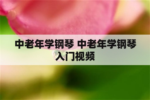 中老年学钢琴 中老年学钢琴入门视频