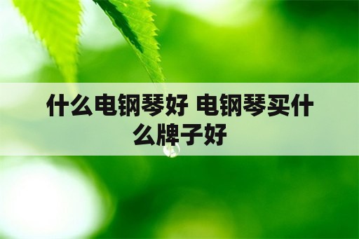 什么电钢琴好 电钢琴买什么牌子好