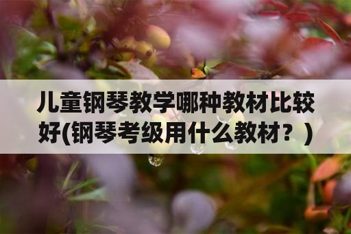 儿童钢琴教学哪种教材比较好(钢琴考级用什么教材？)