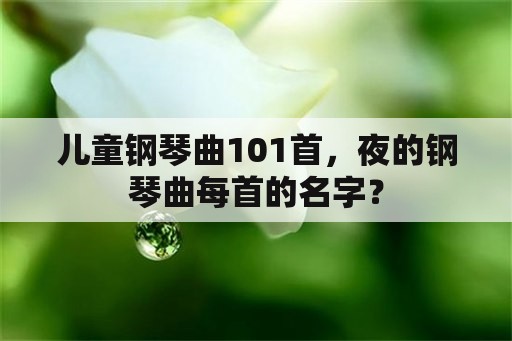 儿童钢琴曲101首，夜的钢琴曲每首的名字？