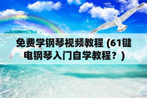 免费学钢琴视频教程 (61键电钢琴入门自学教程？)