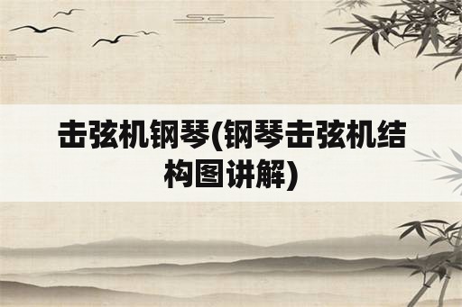 击弦机钢琴(钢琴击弦机结构图讲解)