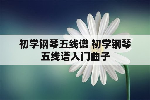 初学钢琴五线谱 初学钢琴五线谱入门曲子