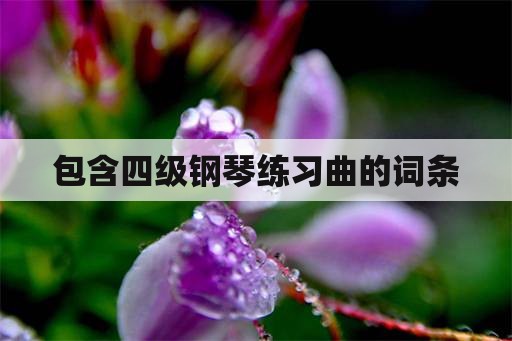 包含四级钢琴练习曲的词条