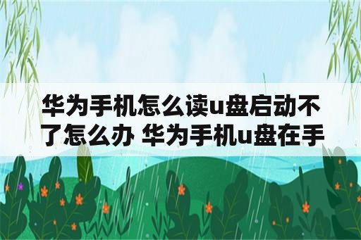 华为手机怎么读u盘启动不了怎么办 华为手机u盘在手机上怎么读取不了