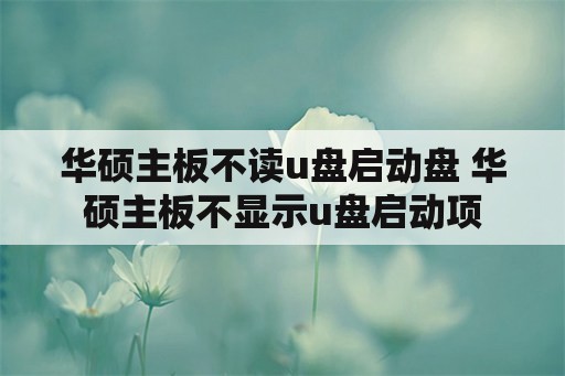 华硕主板不读u盘启动盘 华硕主板不显示u盘启动项