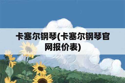 卡塞尔钢琴(卡塞尔钢琴官网报价表)