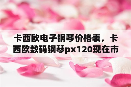 卡西欧电子钢琴价格表，卡西欧数码钢琴px120现在市场价多少？