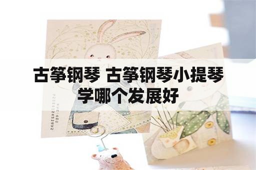 古筝钢琴 古筝钢琴小提琴学哪个发展好