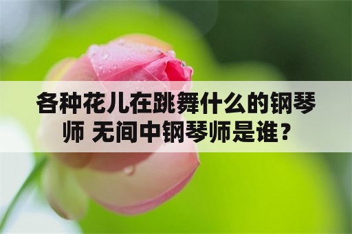 各种花儿在跳舞什么的钢琴师 无间中钢琴师是谁？