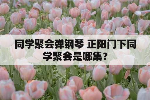 同学聚会弹钢琴 正阳门下同学聚会是哪集？