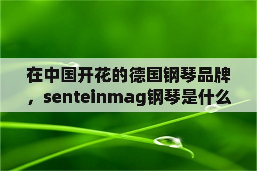 在中国开花的德国钢琴品牌，senteinmag钢琴是什么牌子？