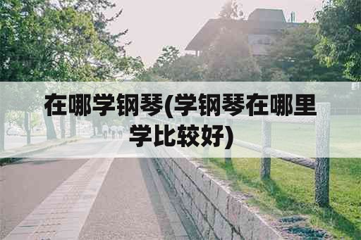 在哪学钢琴(学钢琴在哪里学比较好)