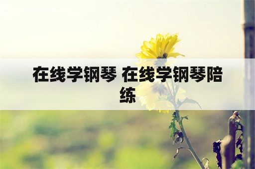 在线学钢琴 在线学钢琴陪练