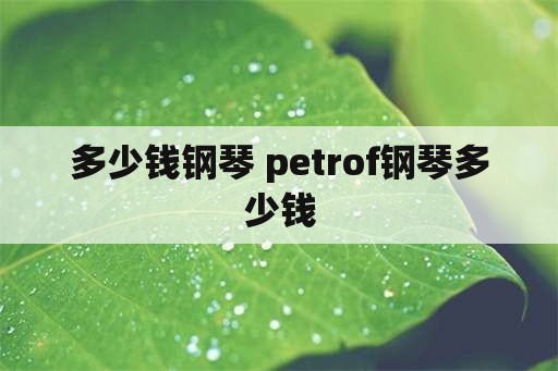 多少钱钢琴 petrof钢琴多少钱