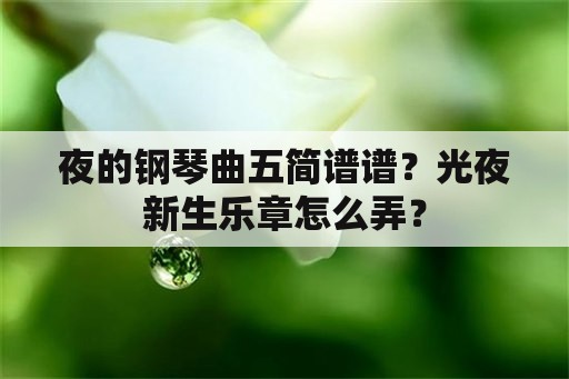 夜的钢琴曲五简谱谱？光夜新生乐章怎么弄？