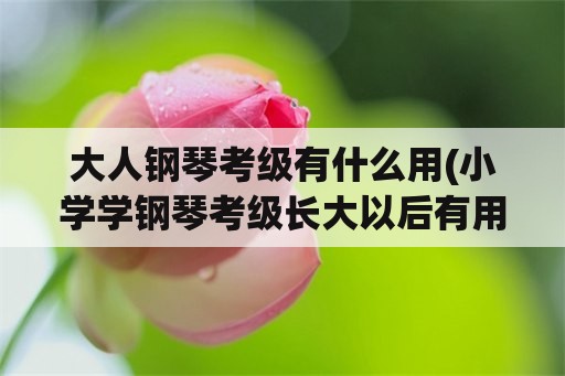 大人钢琴考级有什么用(小学学钢琴考级长大以后有用吗？)