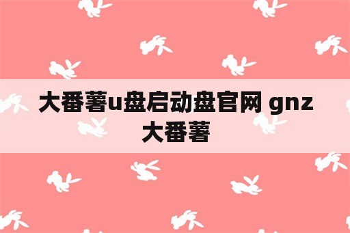 大番薯u盘启动盘官网 gnz大番薯