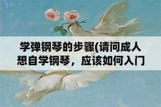 学弹钢琴的步骤(请问成人想自学钢琴，应该如何入门？)