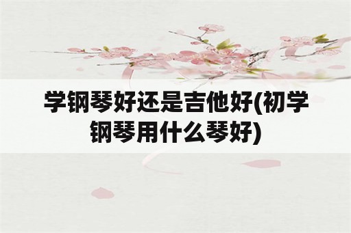 学钢琴好还是吉他好(初学钢琴用什么琴好)