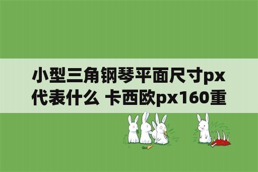 小型三角钢琴平面尺寸px代表什么 卡西欧px160重量？