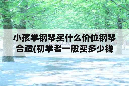 小孩学钢琴买什么价位钢琴合适(初学者一般买多少钱的钢琴合适？)