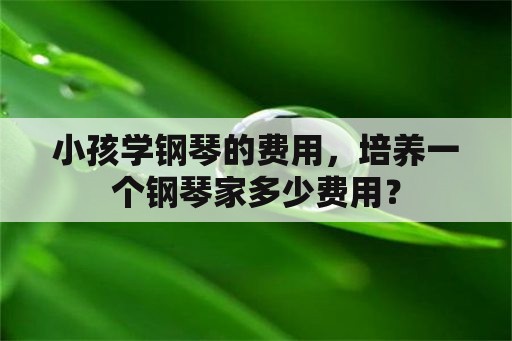 小孩学钢琴的费用，培养一个钢琴家多少费用？