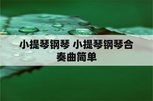 小提琴钢琴 小提琴钢琴合奏曲简单