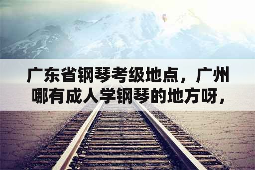 广东省钢琴考级地点，广州哪有成人学钢琴的地方呀，最好在天河东圃附近？