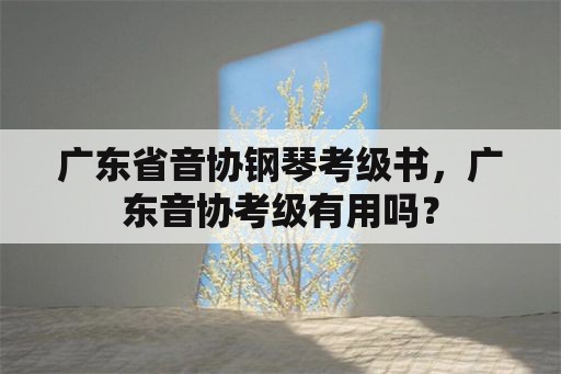 广东省音协钢琴考级书，广东音协考级有用吗？