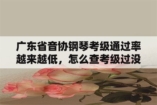 广东省音协钢琴考级通过率越来越低，怎么查考级过没过广艺？