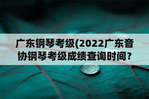 广东钢琴考级(2022广东音协钢琴考级成绩查询时间？)