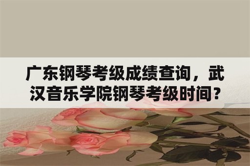 广东钢琴考级成绩查询，武汉音乐学院钢琴考级时间？