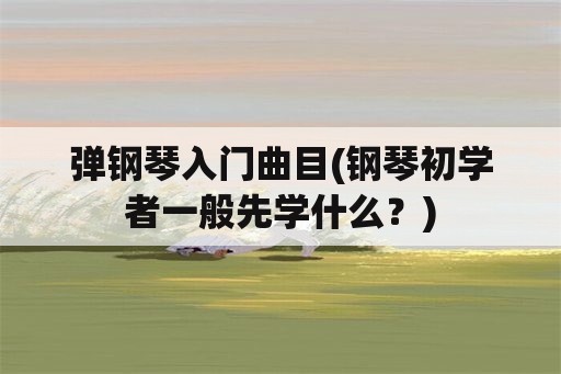 弹钢琴入门曲目(钢琴初学者一般先学什么？)