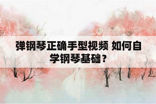 弹钢琴正确手型视频 如何自学钢琴基础？