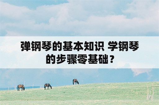 弹钢琴的基本知识 学钢琴的步骤零基础？