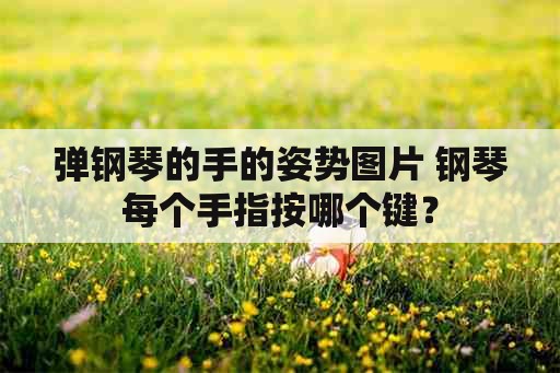 弹钢琴的手的姿势图片 钢琴每个手指按哪个键？