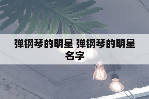 弹钢琴的明星 弹钢琴的明星名字